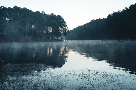 Camping tents Reservoir and trees, morning blue hour