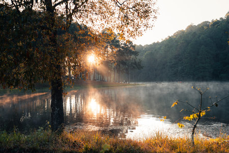 Beatiful nature lake and forest in the morning,Pang Ung, Mae Hong Son, Thailand