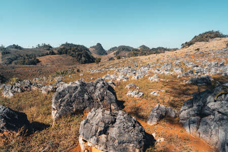 sweet fresh watermelon on white wooden background,red watermelonの写真素材