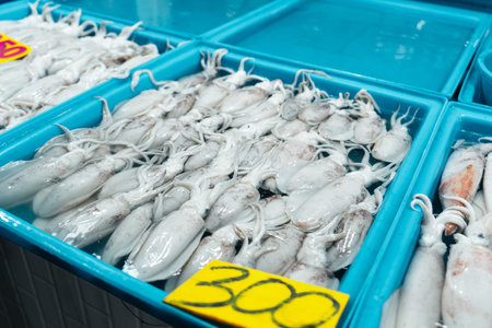 Fresh squid in trays for sale in the fish market,squid Market