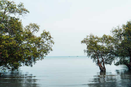 Travel, sea and rocky mountains in Thailand,sea and boat