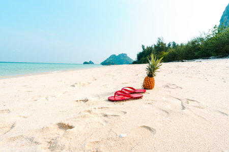pineapples and red flip flops on the beach.
