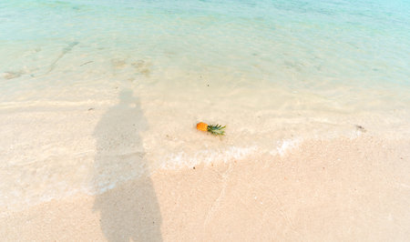 pineapple at sea in summer fruitの写真素材