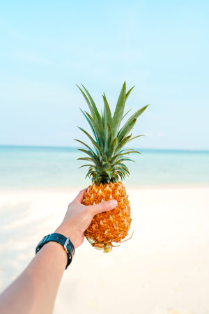 pineapple at sea in summer fruit