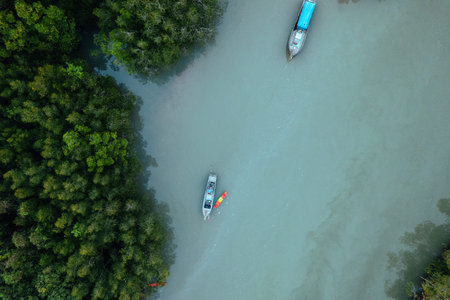 High angle mangrove forest and canal water at Krabi