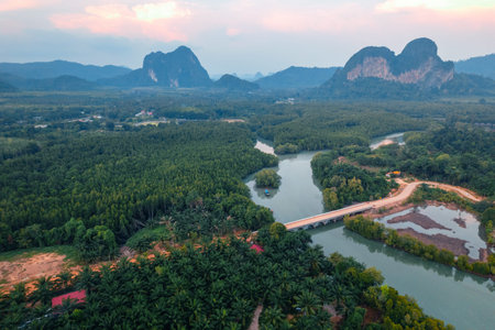 High angle mangrove forest and canal water at Krabi