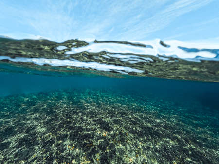 Underwater at the beach on the island,tropical islandの写真素材