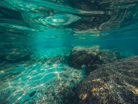 Snorkeling in the sea on a tropical island,clear divingの写真素材