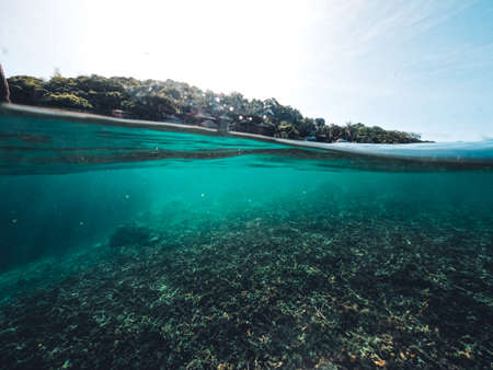 Snorkeling in the sea on a tropical island,clear divingの写真素材