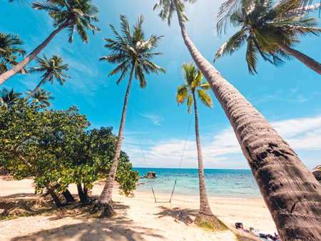 Summer sea view on a tropical island,sea sceneryの写真素材