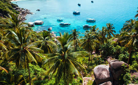 Coconut trees on the island and the sea on a summer morning from above,Summer islandの写真素材