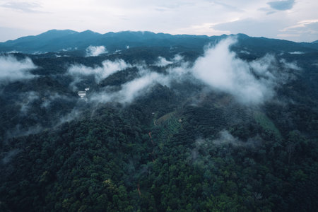 mountain scenery in the morning, high angle, summer,landscape