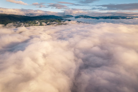 fog and clouds in the morning in the forest form above