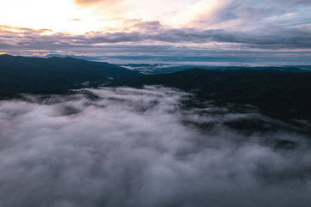 fog and clouds in the morning in the forest form above