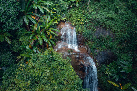 Waterfall in tropical forest