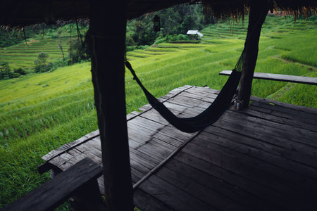 Green Rice field on terraced in chiangmai