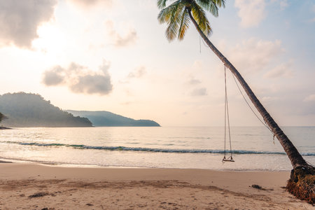 Summer time,Beach and palm trees in the morning on the islandの写真素材