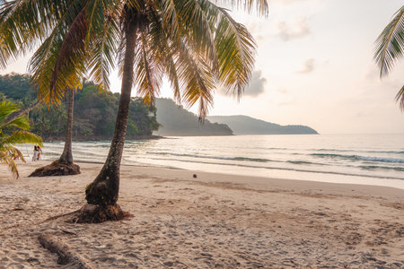 Summer time,Beach and palm trees in the morning on the islandの写真素材