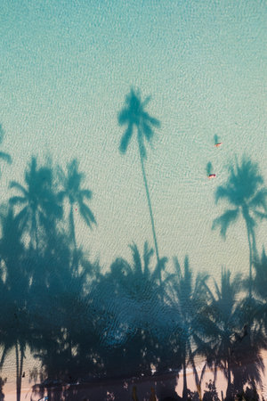 Beach with clear blue sea and palm tree shadows. Bird's eye view.