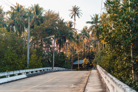 Road with coconut trees in the morning on the island