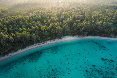 Bay and coconut groves on the island in the morning, aerial view