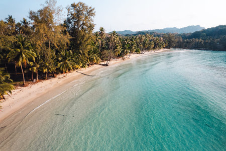Beach and coconut trees on a calm island in the morning, aerial view