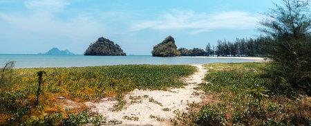 summer day sea beach scenery Grass and small islands at the sea at krabiの写真素材