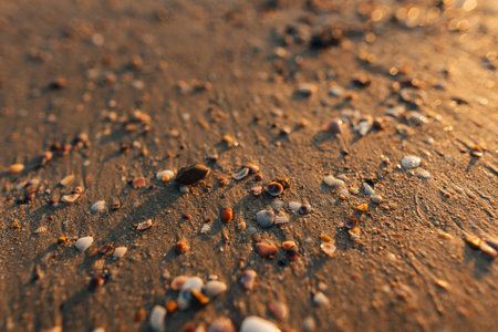 Beach and sea waves in the evening