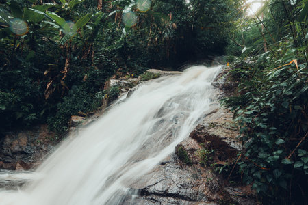 Waterfall in the Rainy Season Forest,Visit the waterfall in the rainy season forest