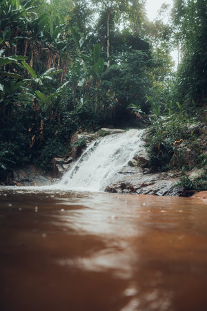 Waterfall in the Rainy Season Forest,Visit the waterfall in the rainy season forestの写真素材