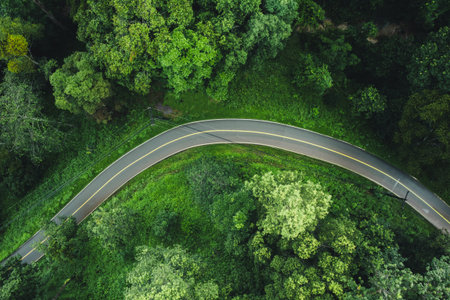 Aerial top view road In the countryside and green trees along the roadside,Green roads and...