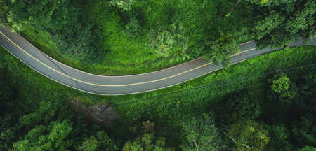 Aerial top view road In the countryside and green trees along the roadside,Green roads and...