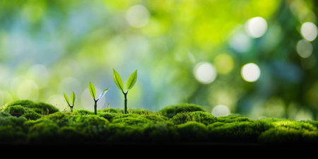 Trees grow on moss in green nature,Growing in green nature and protecting the growth of nature and...