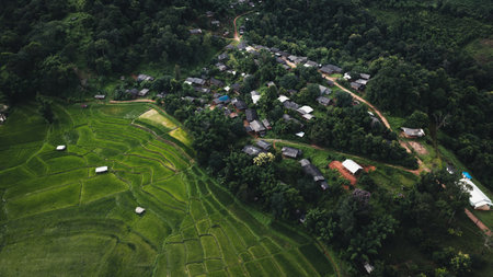 Rural village on the edge of rice fieldsの写真素材