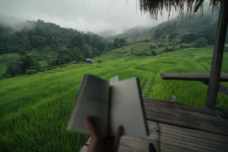 A man sits reading a book on the porch of a house near a rice field.の写真素材