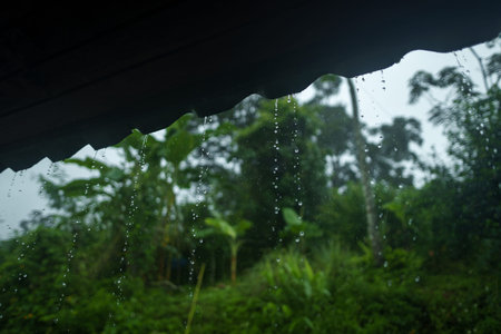 Rainwater dripping from the roof of the house and green trees,Water drops from the roof