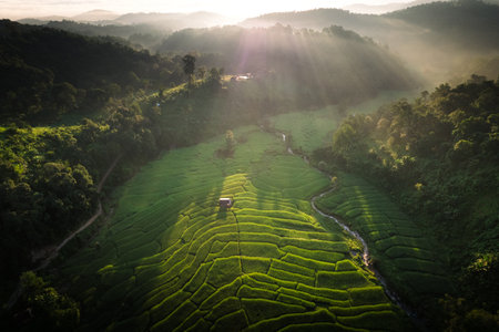Rice fields and mountains in the early morningの写真素材