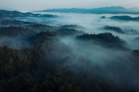 Aerial view of forest and morning fog,Morning fog and nature backgroundの写真素材