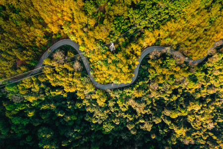 Aerial view of road and forest. Road through natural forest in summer. Tourism, transportation, nature conservation and travel.の写真素材