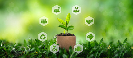 Environment concept of young tree in a cardboard box. Environment and nature conservation icon around.の写真素材
