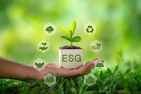 Environment and esg concept tree growing in cardboard box nature background and environment iconsの写真素材