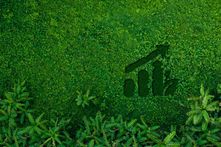 Environmental concept icon growth on grass in forest, aerial view nature conservationの写真素材