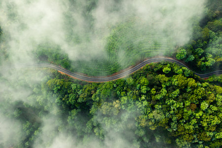 High angle view of forest road and green trees with fog. Green transportation, travel and environment.の写真素材