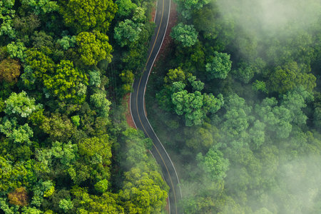 High angle view of forest road and green trees with fog. Green transportation, travel and environment.の写真素材