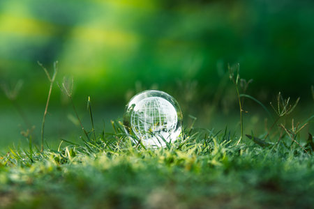 environmental concept, ecology and sustainable environment of the world,Glass globe on the grass in the morningの写真素材