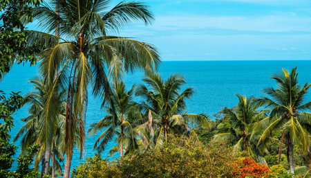 Coconut trees and sea from the island on a summer vacation day.の写真素材