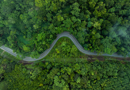 aerial drone shot reveals a winding road, a vital transportation artery, cutting through a dense, verdant forest. The image highlights the intersection of human development and natural ecosystems, showcasing how infrastructure is integrated within a rich green environmentの写真素材