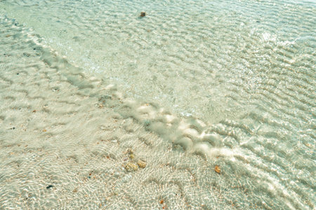 crystal-clear shallow water revealing the natural patterns of sand ripples on the seabedの写真素材
