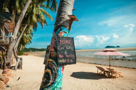 A "Beware of Coconuts" and "No Persons Under 14 Yrs" warning sign on a palm tree at a white sand beach with a beach umbrella and lounge chairsの写真素材