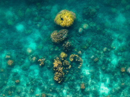 aerial photograph of a coral reef. Captured directly from aboveの写真素材